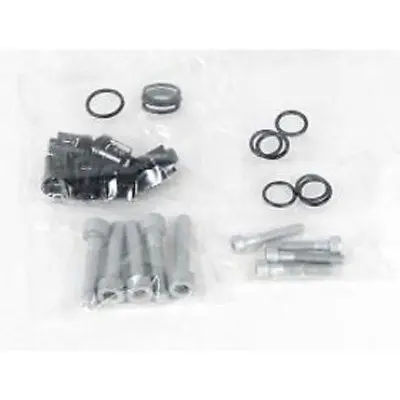 Briggs & Stratton / Craftsman Check Valve Kit – Model 193806Gs 1