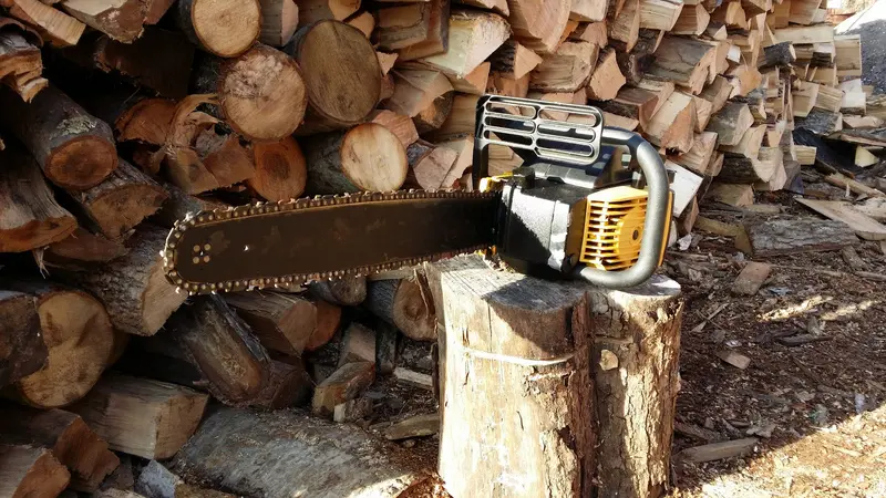 Tested Mcculloch Eager Beaver 20-Inch Chainsaw (3.4 Cu In) 1