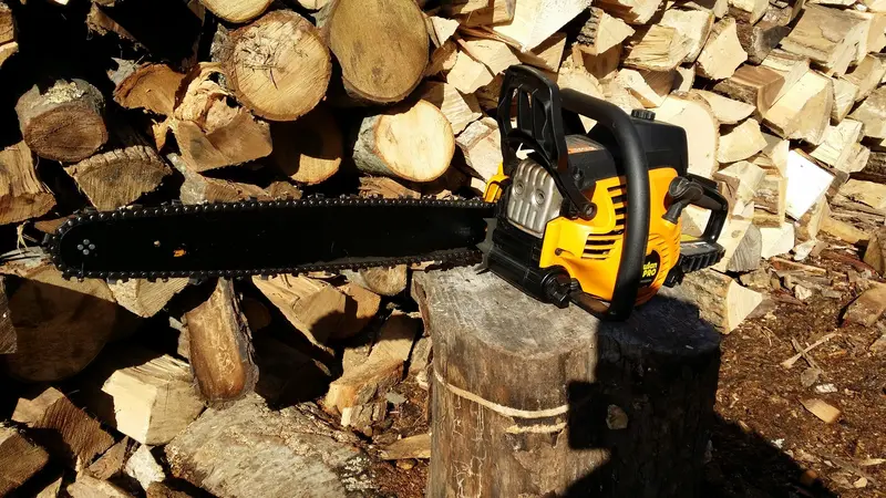 Used Poulan Pro Pp5020Av 20-Inch Gas Chainsaw – Ready To Run 1