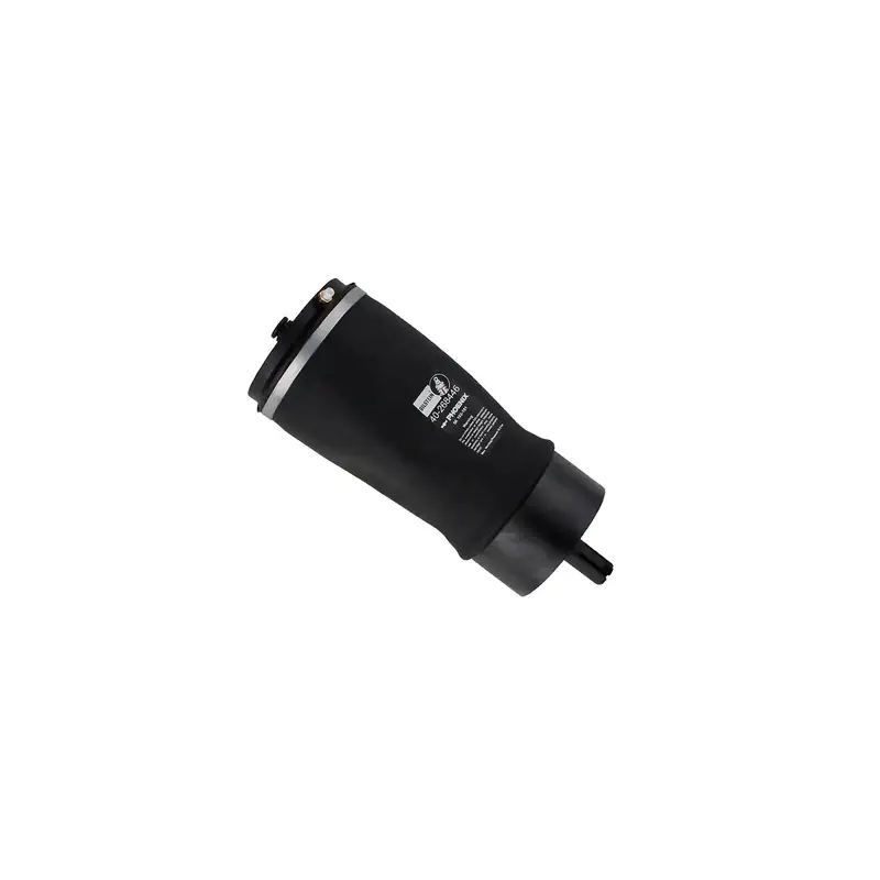 Bilstein B3 Oe Air Suspension Spring – Replacement Part 40-268446 1